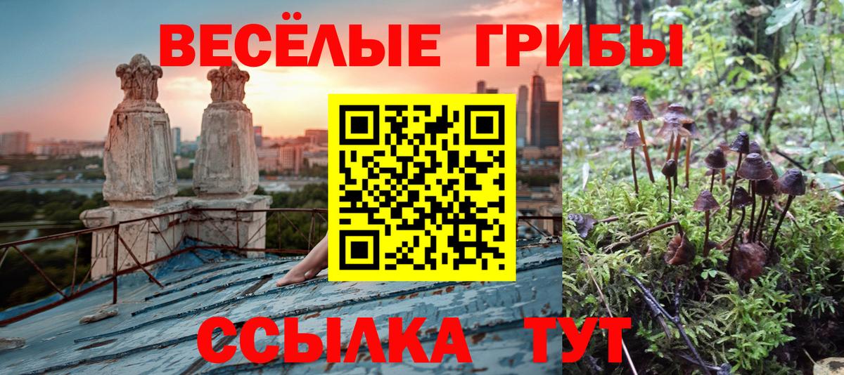 Галлюциногенные грибы мицелий Сыктывкар