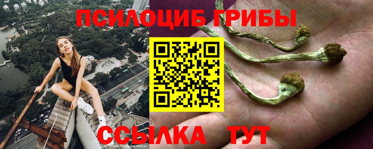 Галлюциногенные грибы прущие грибы  Псилоцибиновые грибы Psilocybe  Сыктывкар  где продают   Вход с VPN 